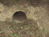 Рис. 2.29. Внутрішній вхід сортії г,…