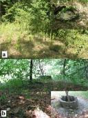 Рис. 2.36. Цистерни №5 (а) та №6 (b),…