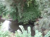 Рис. 4. 54. Фрагмент природного русла…