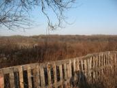 Вид з Багринової гори на Лису гору