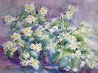 Є.Маринченко. Жасмін. Акварель, 1993 р.