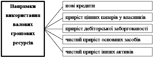 Рис. 3. Вигляд валових грошових ресурсів