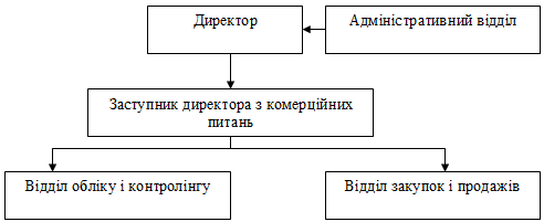 Рис. 3.15. Організаційна структура з…